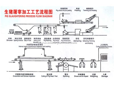 生猪开云官方注册工艺示意图